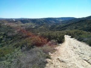 Aliso and Wood Canyons Wilderness Park